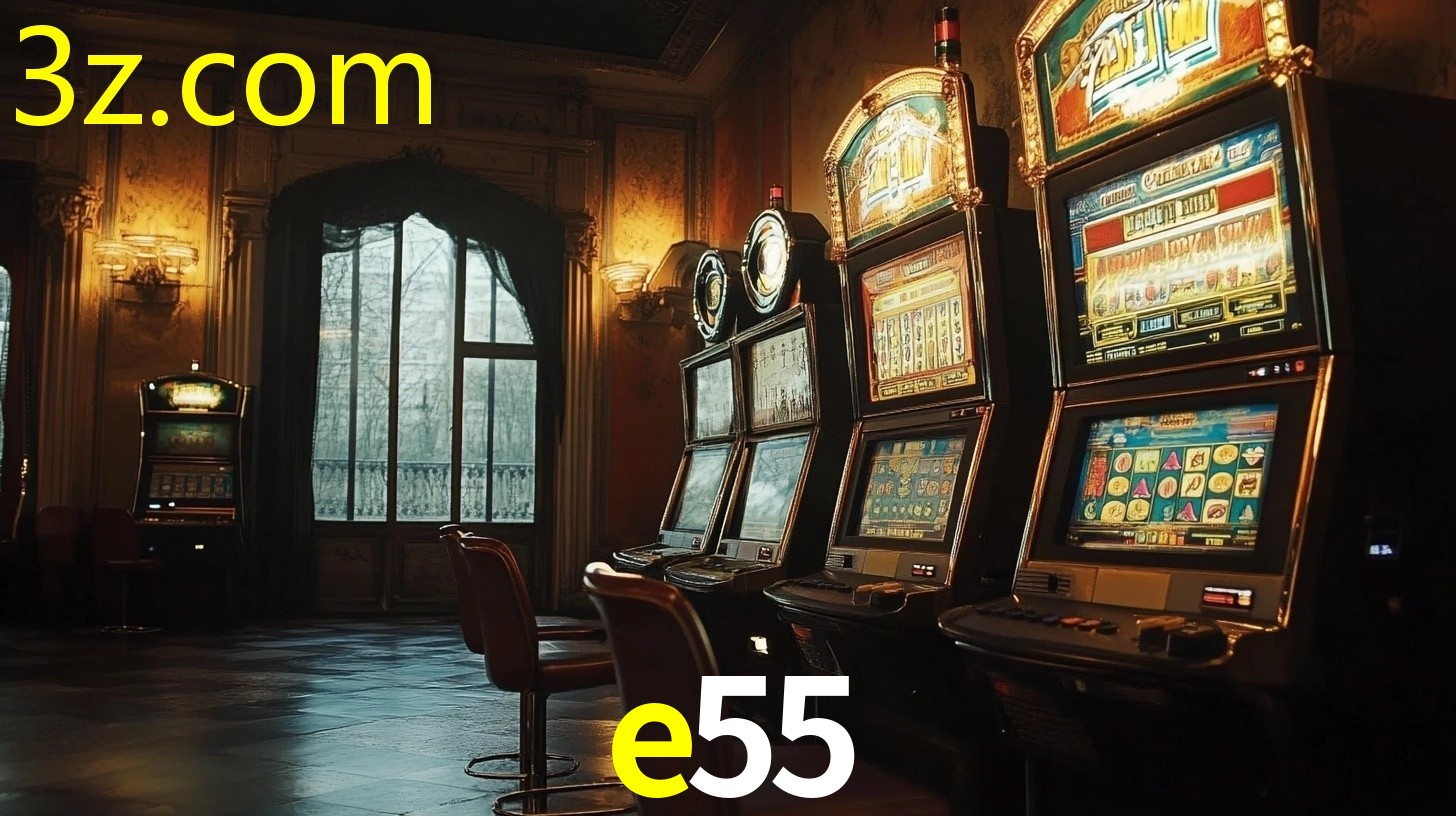 E55.COM