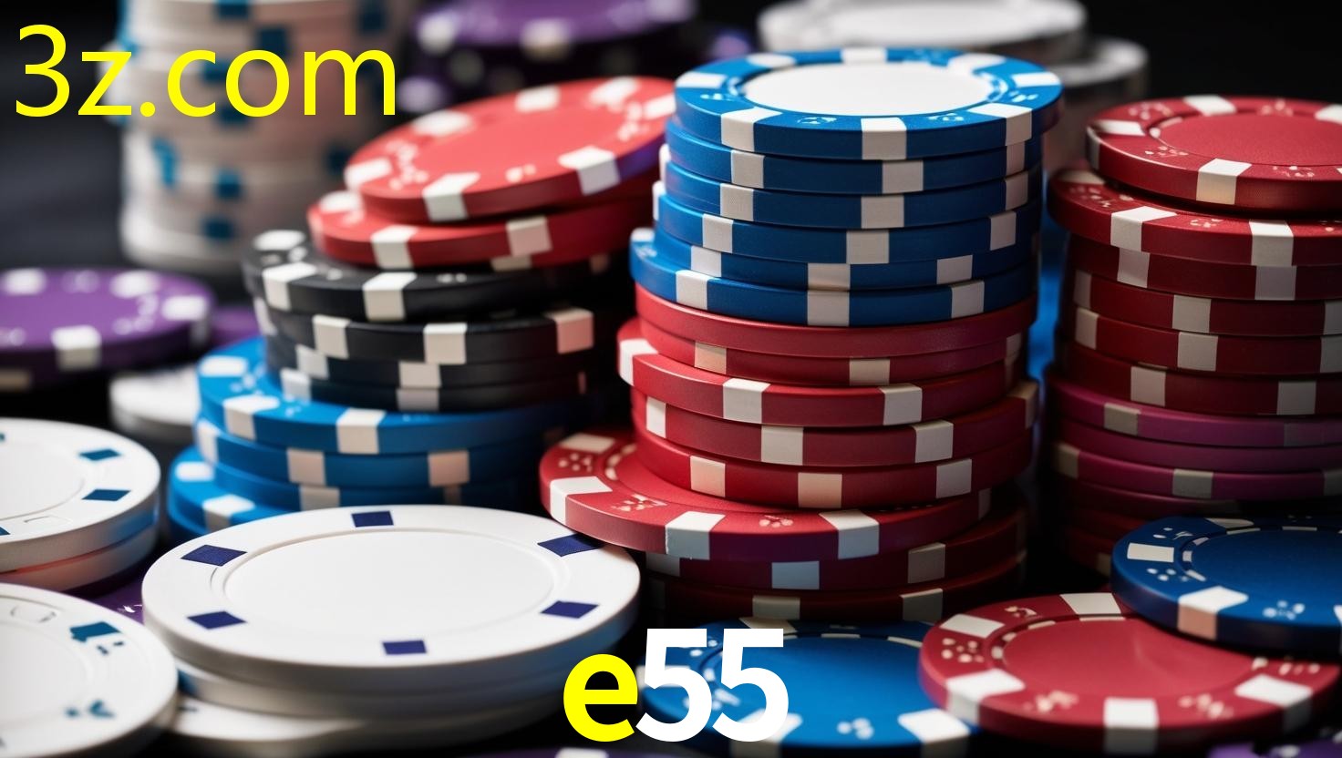 E55.COM